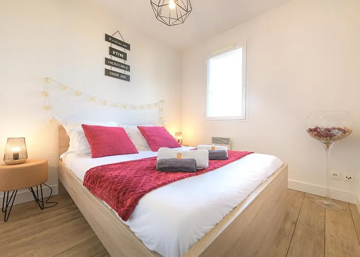 Apartament Magnifique T2 Renove Aux Vendanges Gaillac