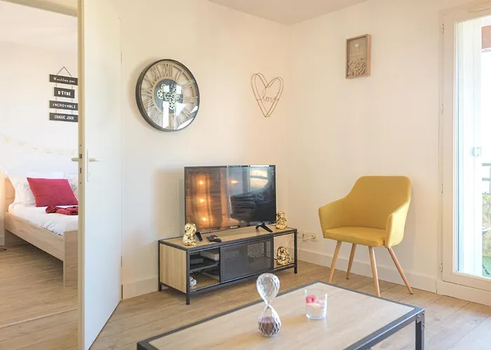 Magnifique T2 Renove Aux Vendanges Gaillac