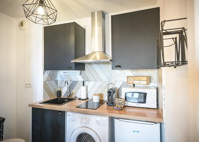 Magnifique T2 Rénové Aux Vendanges Gaillac